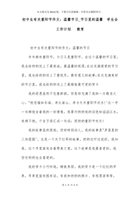 节日计划作文600字作文怎么写