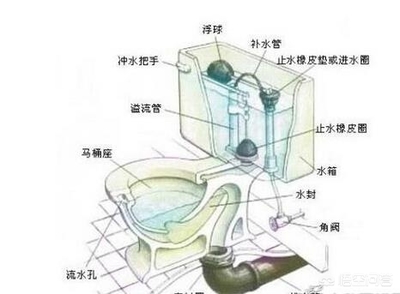 马桶剖面图