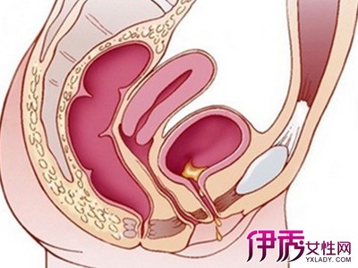 一侧睾丸疼痛是怎么回事