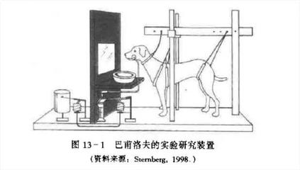 班杜拉的宝宝