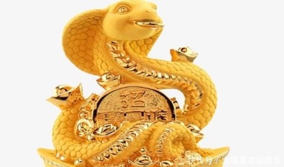 出谋划策的生肖
