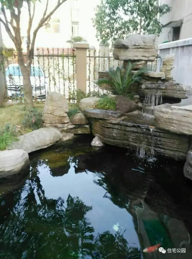 室内养鱼池设计图