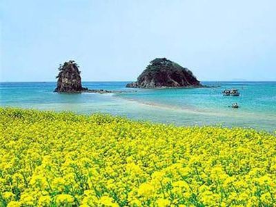 九号彩票首页外观展示图片