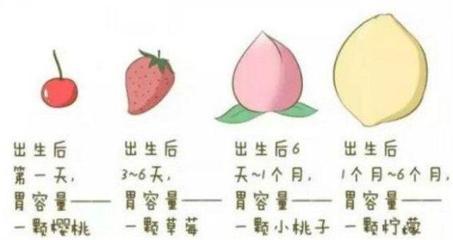 六个月的宝宝胃有多大