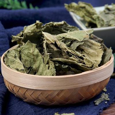 老桑叶茶的功效与作用