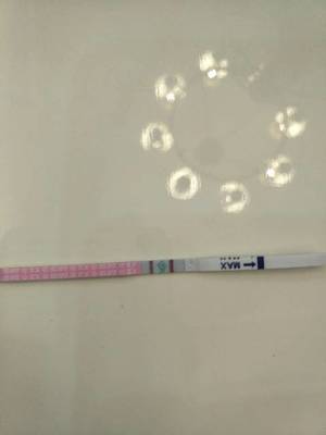 怀孕半个月验孕棒能测出来吗