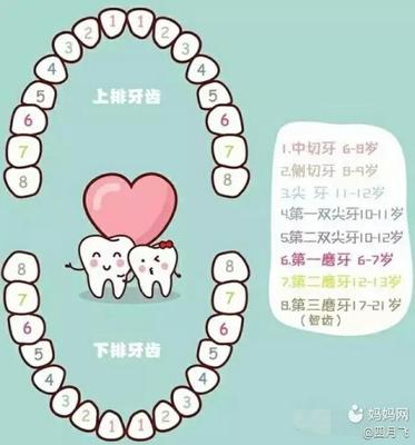 宝宝换牙图片