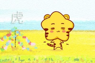 属牛与属虎合不合
