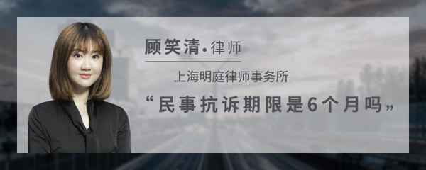 民事抗诉期限 6个月