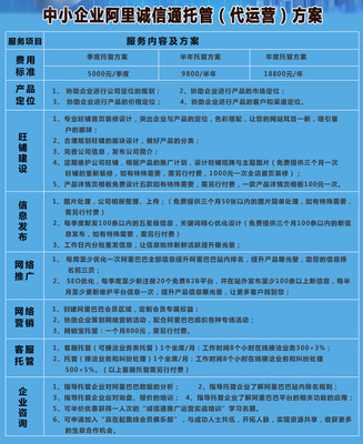 网络品牌策划营销 网店整店铺托管运营 优化搜索排名 一站式服务1