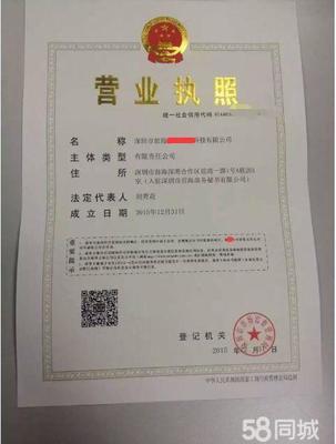 香港公司法定代表人