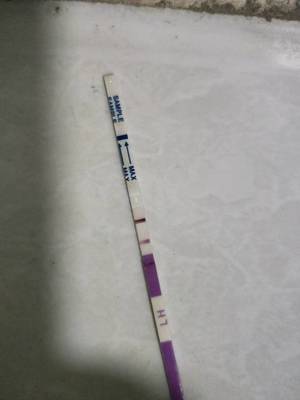 大姨妈推迟两天可以测出怀孕吗