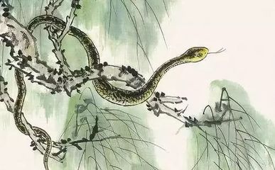 12生肖破月歌