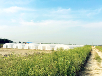 最新苗圃占地赔偿标准