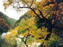 北京香山附近景点