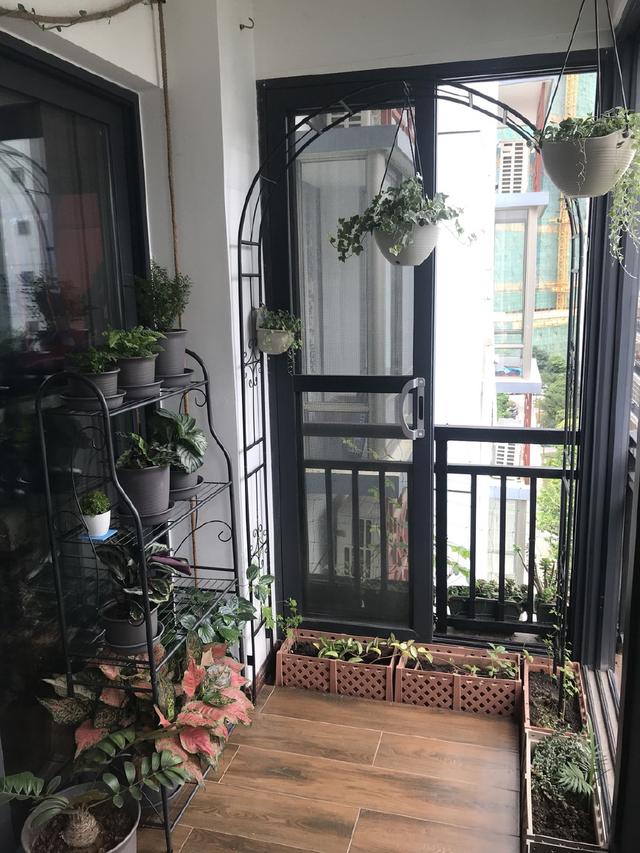 怎样打造阳台花园