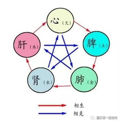 城市五行