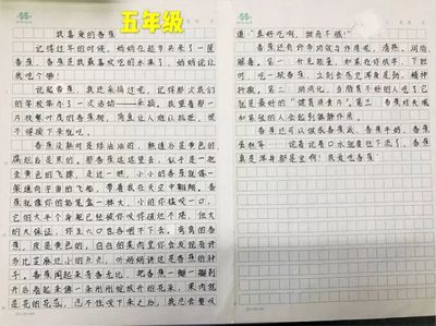 我和台湾 作文怎么写