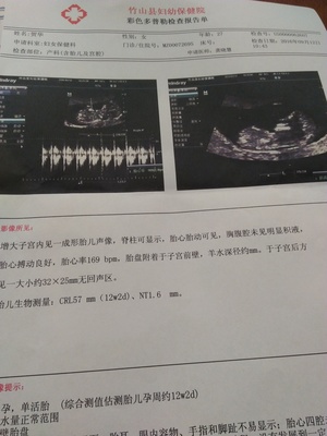 12周男宝nt值多少正常