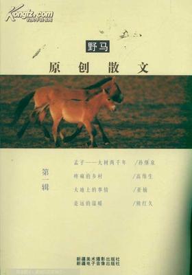 野马小说网站