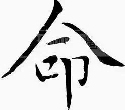 适合从政的八字