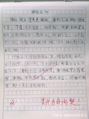 小学的计划作文500字作文怎么写