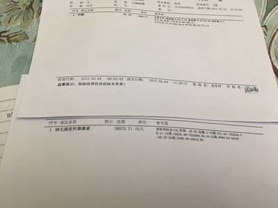 人流后排卵期