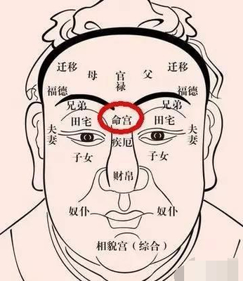 鼻梁有疤痕的人命运