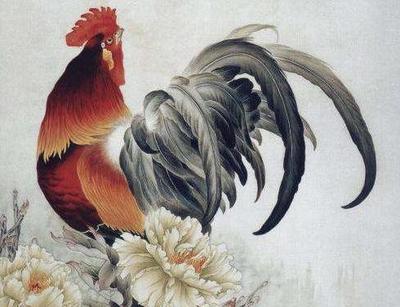 属鸡的今年财运好吗