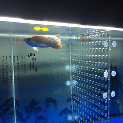 長沙市開福區(qū)愛琴海水族館（長沙市開福區(qū)愛琴海水族館電話）