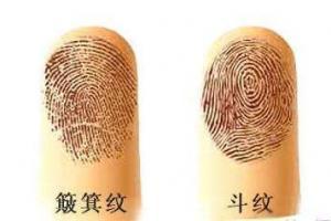 手指十个斗的男人命运