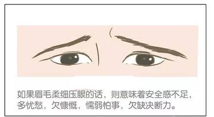 眉毛与命运