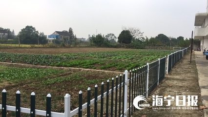 好听的菜地名字