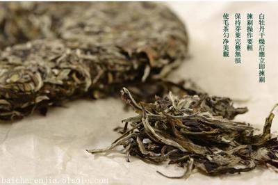 福鼎白茶保存方法