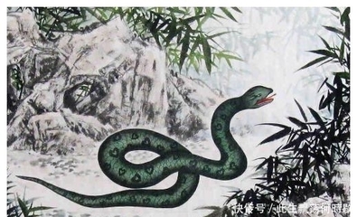 男龙女蛇婚姻是否相配