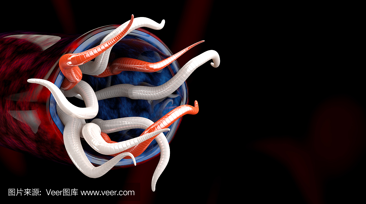 蠕虫群孤立的黑色背景3d插图
