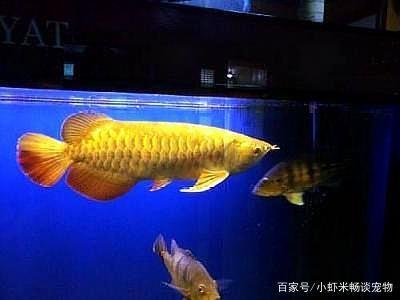 百色魚(yú)缸制作廠家聯(lián)系電話多少（百色魚(yú)缸制作廠家聯(lián)系電話多少號(hào)）