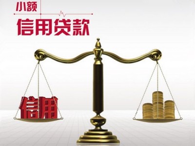 小额信用贷款公司