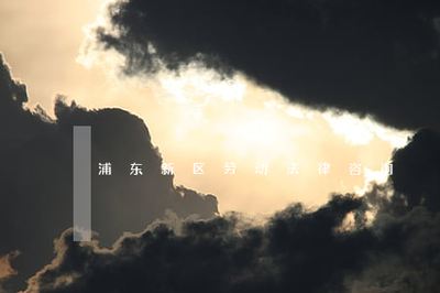 浦东劳动仲裁电话