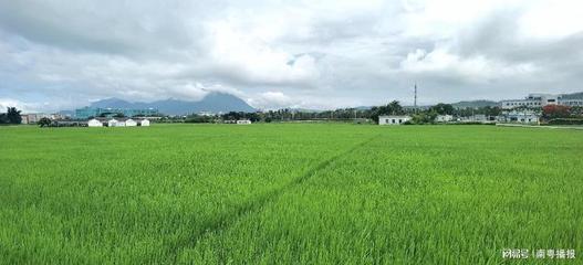田地的田怎么写