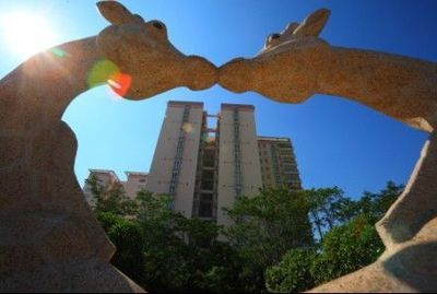 广州市花都区新楼盘