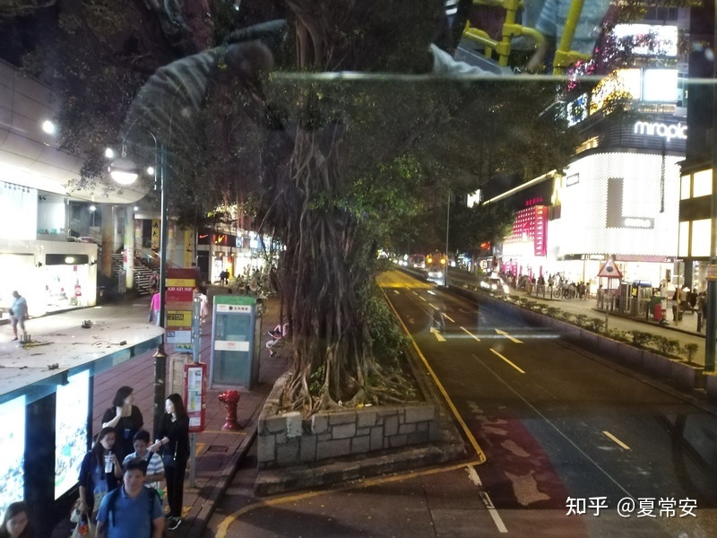 香港一日游知乎攻略