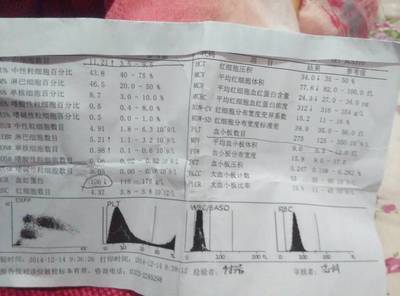 3个月婴儿白细胞正常值