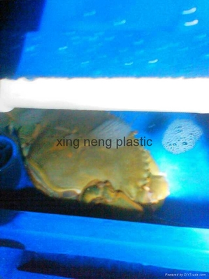 青蟹塑料养殖箱