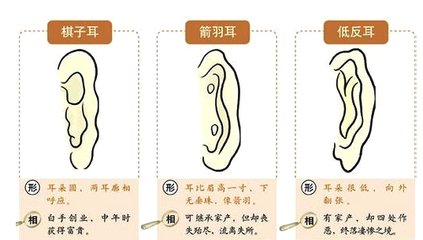 男人反耳面相