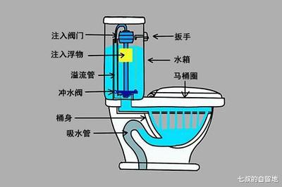 为什么马桶总是堵塞