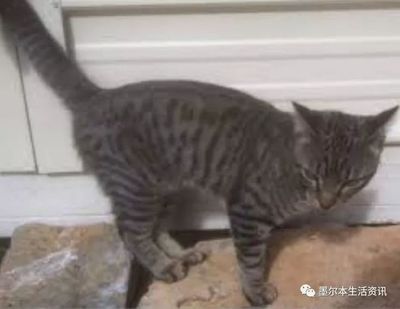 心一阵阵慌是怎么回事