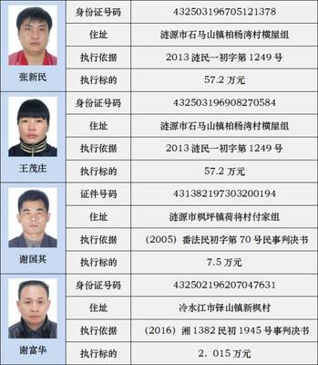 全国被执行人信息网