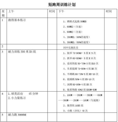 篮球冬训计划怎么写