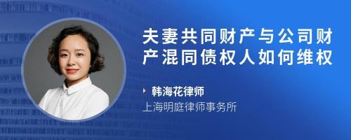 法人财产混同